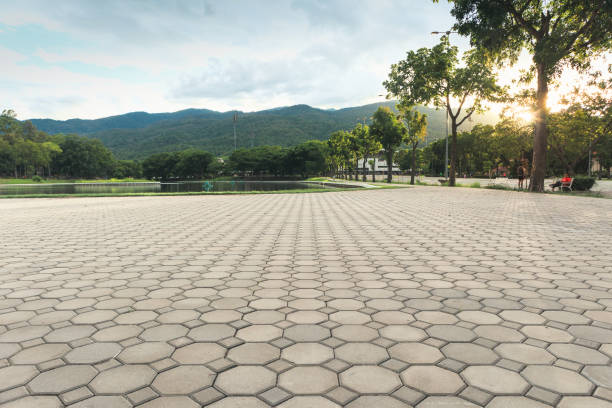 Best Professional Driveway Pavers  in Lonaconing, MD